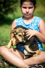JILLY, Hund, Mischlingshund in Ungarn - Bild 3