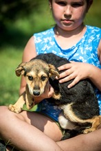 JILLY, Hund, Mischlingshund in Ungarn - Bild 5