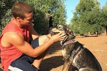 AYSA, Hund, Mischlingshund in Spanien - Bild 21