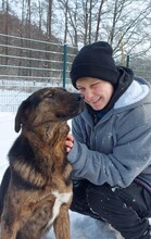FENJA, Hund, Mischlingshund in Lehrte - Bild 18