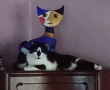 DENZEL, Katze, Hauskatze in Buxtehude - Bild 2