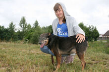 FERIKE, Hund, Mischlingshund in Ungarn - Bild 8