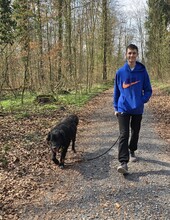 SANDRO, Hund, Mischlingshund in Eppingen - Bild 5