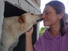 PEPE, Hund, Mischlingshund in Griechenland - Bild 3