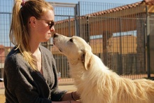JOSUA, Hund, Mischlingshund in Italien - Bild 3