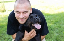 SHADOW, Hund, Mischlingshund in Kroatien - Bild 7