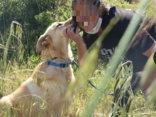 LADY, Hund, Mischlingshund in Spanien - Bild 7
