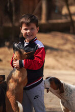 TRICO, Hund, Mischlingshund in Bulgarien - Bild 5