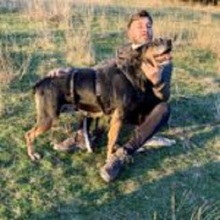 NAYELI, Hund, Mischlingshund in Rumänien - Bild 2