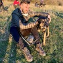 NAYELI, Hund, Mischlingshund in Rumänien - Bild 9