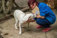 WHITY, Hund, Mischlingshund in Bulgarien - Bild 12