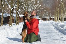 TYTUS, Hund, Mischlingshund in Polen - Bild 3