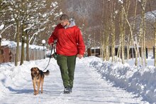 TYTUS, Hund, Mischlingshund in Polen - Bild 5