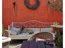 JOHNNY, Hund, Mischlingshund in Mauer - Bild 12
