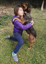 ZOE, Hund, Mischlingshund in Griechenland - Bild 5