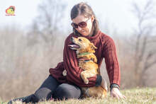 ZIPPY, Hund, Mischlingshund in Slowakische Republik - Bild 9