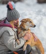 LILLIT, Hund, Mischlingshund in Russische Föderation - Bild 6