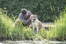 LEIA, Hund, Mischlingshund in Siegen - Bild 15