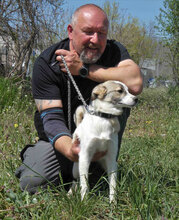 DORIAN, Hund, Mischlingshund in Bulgarien - Bild 5