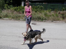 MADITA, Hund, Mischlingshund in Bulgarien - Bild 14