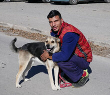 MADITA, Hund, Mischlingshund in Bulgarien - Bild 21