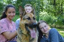 ARO, Hund, Mischlingshund in Slowakische Republik - Bild 28