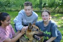 ARO, Hund, Mischlingshund in Slowakische Republik - Bild 44
