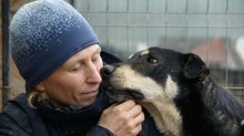 FRANZL, Hund, Mischlingshund in Rumänien - Bild 7