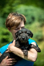 DOROTHY, Hund, Mischlingshund in Ungarn - Bild 5