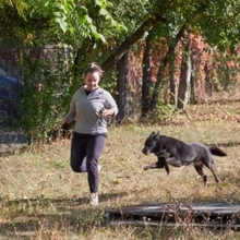 TRACY, Hund, Mischlingshund in Rumänien - Bild 4
