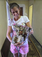 PIETRO, Katze, Europäisch Kurzhaar in Bulgarien - Bild 4