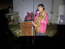 LEO, Hund, Mischlingshund in Rumänien - Bild 25