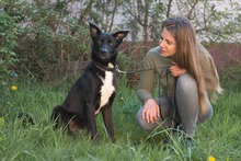 ELLA, Hund, Mischlingshund in Rodgau - Bild 10