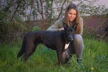 ELLA, Hund, Mischlingshund in Rodgau - Bild 11