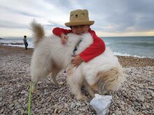 BEETHOVEN, Hund, Mischlingshund in Spanien - Bild 2