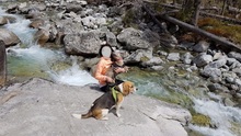 SAKI, Hund, Mischlingshund in Slowakische Republik - Bild 15