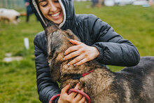 TOSHKO, Hund, Mischlingshund in Bulgarien - Bild 4
