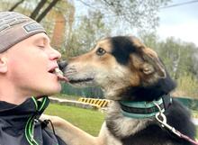 APRIL, Hund, Mischlingshund in Russische Föderation - Bild 6
