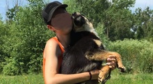 PEDRO, Hund, Mischlingshund in Slowakische Republik - Bild 9