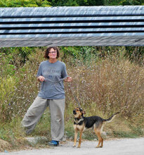 JOSHA, Hund, Mischlingshund in Bulgarien - Bild 7