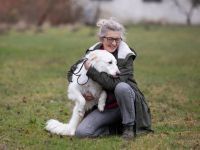 FRODO, Hund, Maremma Abruzzenhund in Vilseck - Bild 4
