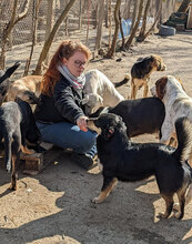 KATRANCHO, Hund, Mischlingshund in Bulgarien - Bild 11