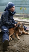 OLAF, Hund, Mischlingshund in Rumänien - Bild 14