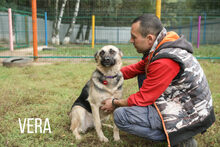 VERA, Hund, Mischlingshund in Russische Föderation - Bild 14