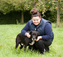 FENIKS, Hund, Mischlingshund in Viersen - Bild 11