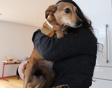MATHILDA, Hund, Mischlingshund in Nürnberg - Bild 8