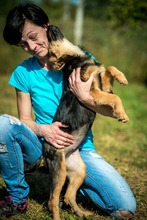 RIKE, Hund, Mischlingshund in Ungarn - Bild 3