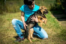 RIKE, Hund, Mischlingshund in Ungarn - Bild 4