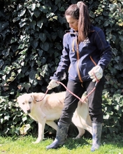 HACHI, Hund, Mischlingshund in Italien - Bild 13