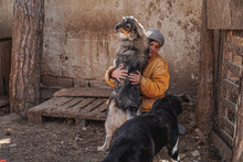 MIRELA, Hund, Mischlingshund in Bulgarien - Bild 13